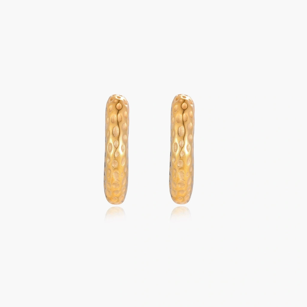 Denisse Earrings