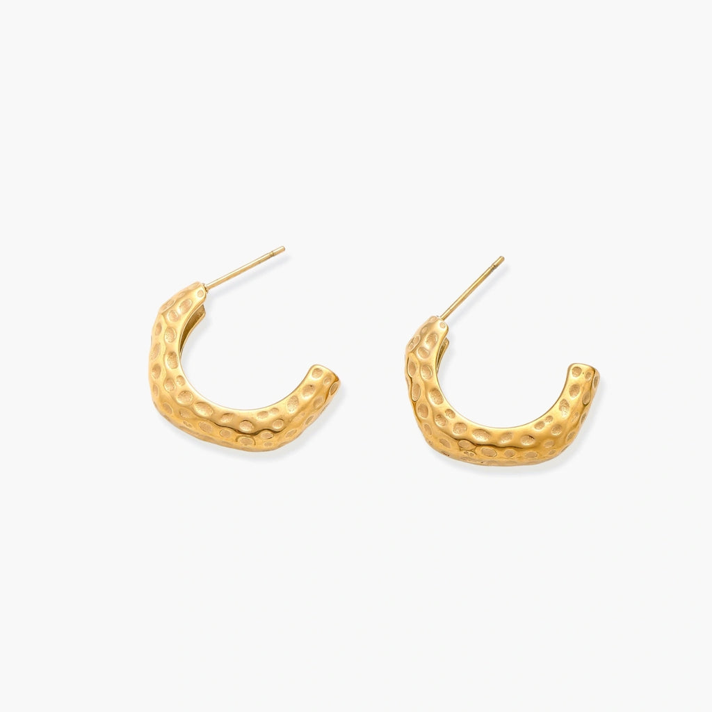 Denisse Earrings